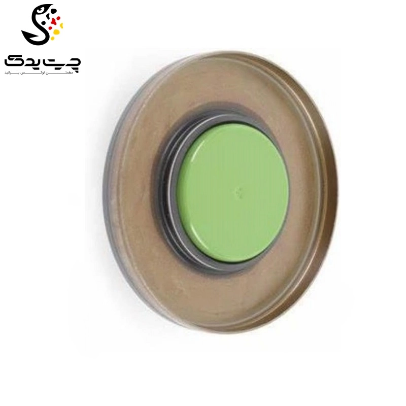 کاسه نمد دیفرانسیل بی ام دبلیو Z4 28i