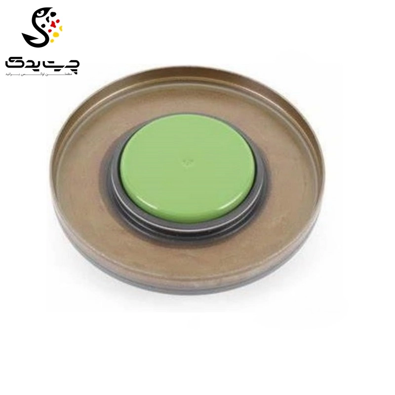 کاسه نمد دیفرانسیل بی ام دبلیو Z4 28i