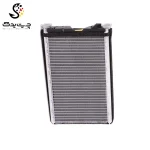 رادیاتور بخاری بی ام دبلیو X3 (اتاق جدید)