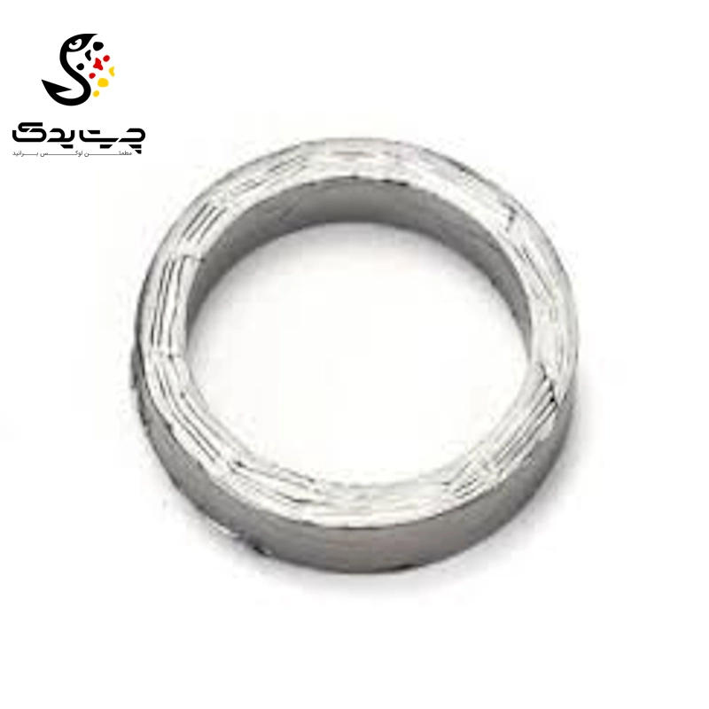 واشر-منیفولد-بی-ام-دبلیو-730Li-اتاق-وسط-دو-1 واشر منیفولد بی ام دبلیو 730Li (اتاق وسط)
